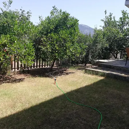 Camkokusu Ortaca (Mugla)